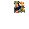 Toucans Toucan