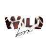 Wild Born Cow Print
