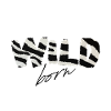 Wild Born Zebra Stripe Logo