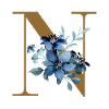 Letter N with blue flowers