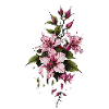 Let Your Dreams Bloom Floral