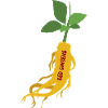Korean Red Ginseng – Power Root