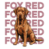 Renard Rouge Labrador Portrait
