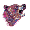 Tête d’ours Neon Splash