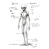 Anatomie extraterrestre