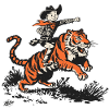 Little Tiger Cowboy