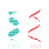 Biology Teacher Biologist Microbiology Biologist
