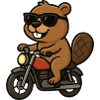 Sunglasses-Beaver Motorcyclists