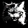 Angry cat