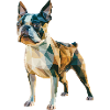 Bouledogue français - Logo Low Poly cool