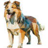 Berger australien - Logo Low Poly cool