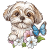 Shih Tzu et papillon