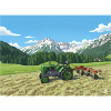 15er Steyr