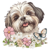 Shih Tzu et papillon