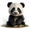 Panda cub at the stone