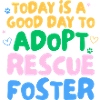 ADOPT DON'T SHOP