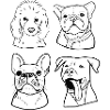 Chiens