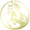 Silhouette de cheval d’équitation
