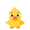 Funny Duckling Pun – What the Duck