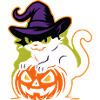 Wizard Cat and Luminous Pumpkin