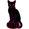 Neon Cat on Black Pumpkin