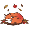 Renard en automne