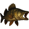 Detailed Zander Fish Artwork