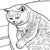 Line drawing of relaxed house tiger