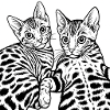 Cat Duo Line Drawing