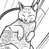 Sleeping Cat Line Art