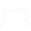 Skeleton heart in hand