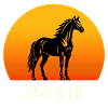 Stay Wild Horse Sunset Silhouette