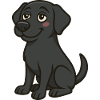 Verliebter Labrador – Süßes Hundemotiv 