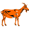 Chèvre de la Saint-Patrick