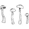 Mushrooms – Nature Vibes Line-Art