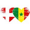 Denmark Senegal heart flag used