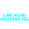 Caucasian Shepherd Dog Kaukasischer Owtscharka