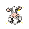 Lactose Intolerant Milk Cow
