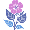 Purple Blossom with Blue Leaves
