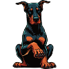 Dobermann Dobermannbesitzer Dobermannliebhaber