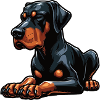Dobermann Dobermannbesitzer Dobermannliebhaber