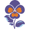 Fleur violette et oranger