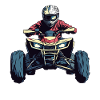 Quad Driver Off-Road Action