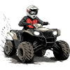 Quad Rider Off-Road Driving Illustration