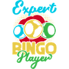 Bingo Game Expert Player Bingo