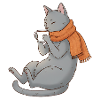 Chat de café