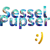 Sesselpupser
