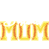 Softball Mom