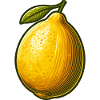 Vibrant retro graphic lemon