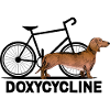 Doxycycline Grappige Dachshund Cyclus